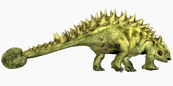 Talarurus dinosaur from the Cretaceous Period