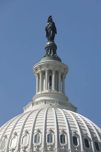 The United States Capitol building dome and statue