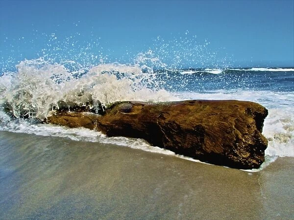 Waves splashing over driftwood on beach