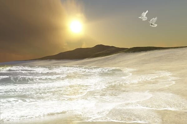 Two white doves fly over waves coming to shore on a remote beach