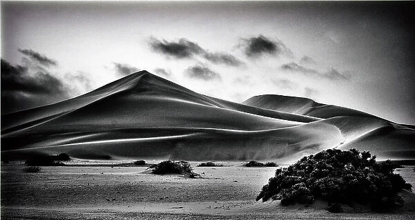 Desert. Thore Larsgard