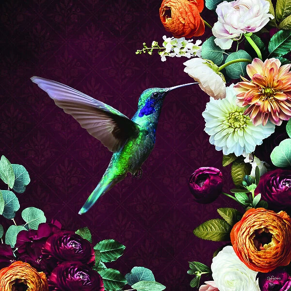 Hummingbird & Flowers