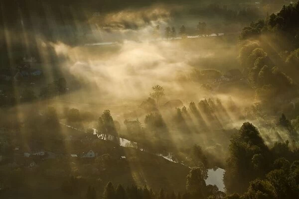 Mist, Light And Silence