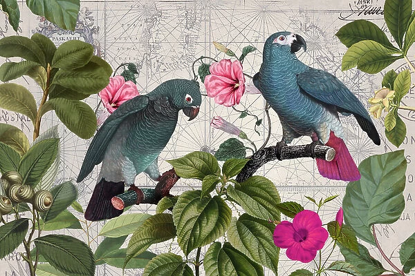 Parrots Nostalgic Journey Kopie