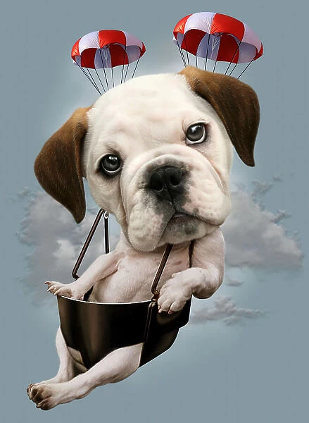 puppy on parachute