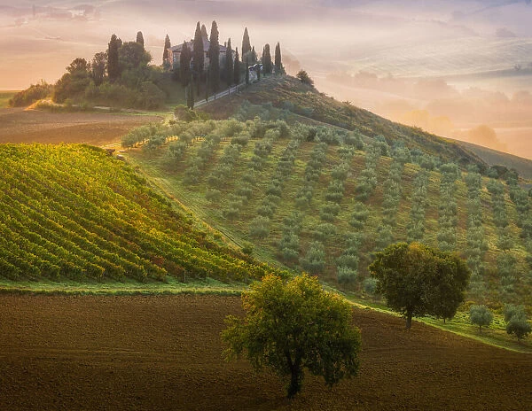 Tuscany. Adrian Popan