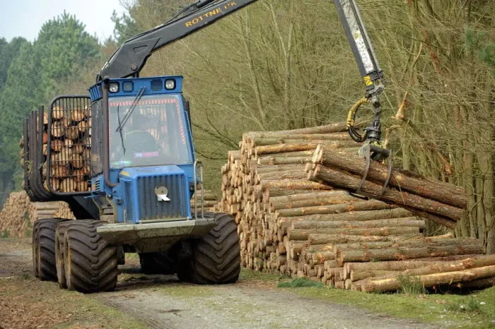 Framed Print : Forestry workers with forwarder machine, removing felled timber from Dunwich Forest Print Framed Print : Forestry workers with forwarder machine, removing felled timber from Dunwich Forest Print