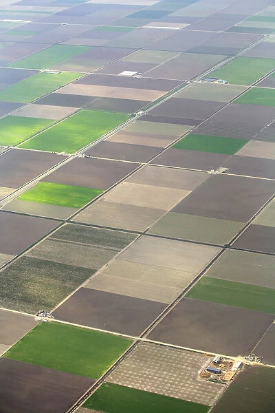Aerial view of cultivated farmland in strips, Seville, Spain