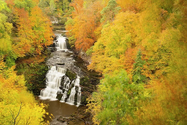 Corra Linn waterfall at Falls of Clyde in late autumn, Lanarkshire, Scotland, UK, October 2015