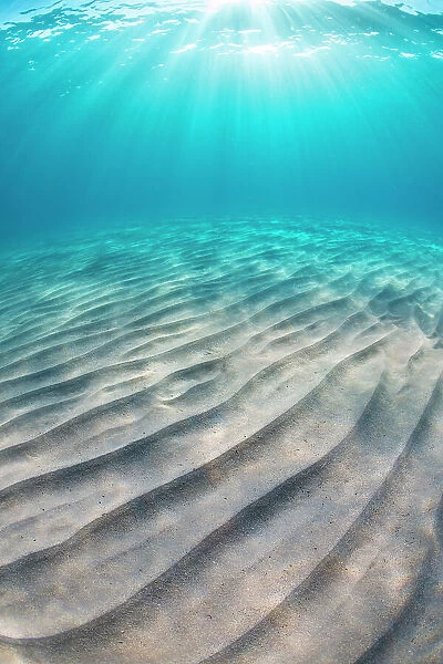Sand ripples on seabed and sun burst in shallow, clear water. Capo Comino, Sardinia, Mediterranean Sea