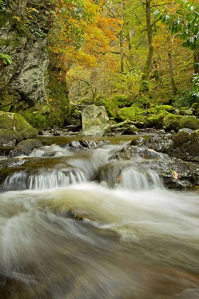 Water running over rocks, Lodore Falls, with autumnal trees in the background, Lake District