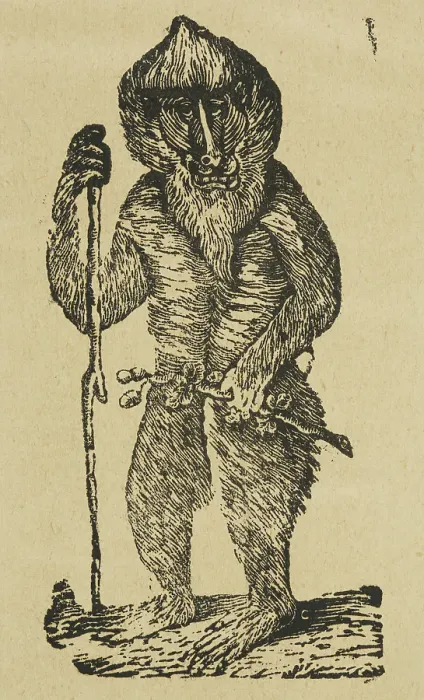 Framed Print : Active Gibbon Print, 1840