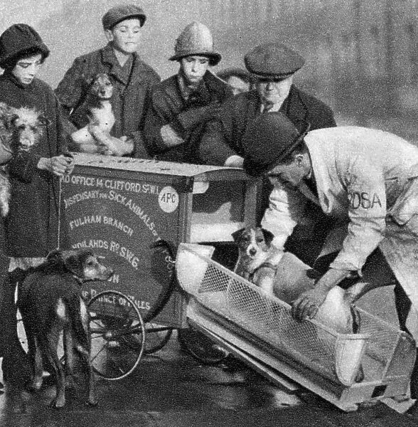 Ambulance of the Dispensary for Sick Animals of the Poor, London, 1926-1927