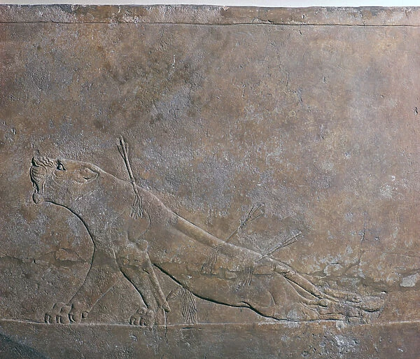 Assyrian relief of a wounded lioness from Ashurbanipal, 7th century