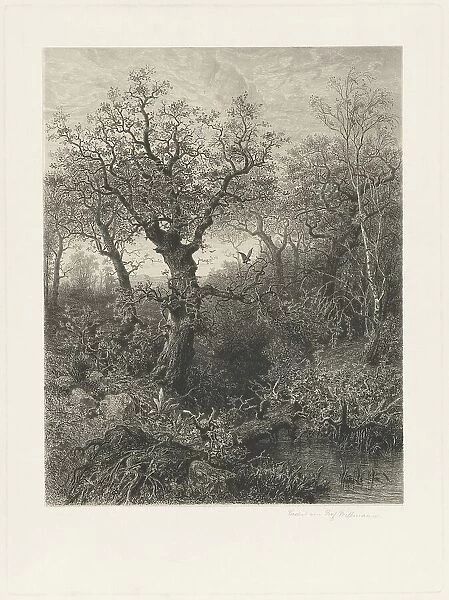 Autumn, 1871. Creator: Eduard Willmann