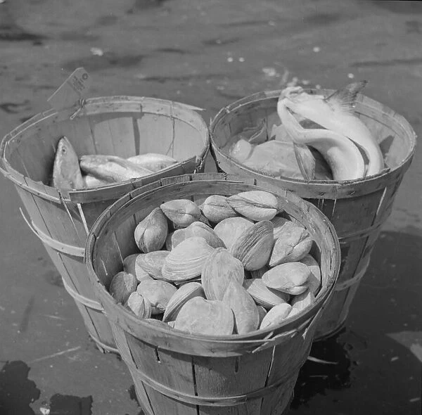 Baskets of seafood at the Fulton fish market, New York, 1943. Creator: Gordon Parks