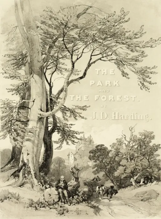 Framed Print : Beech and Oak Print, The Park and the Forest, 1841 Framed Print : Beech and Oak Print, The Park and the Forest, 1841