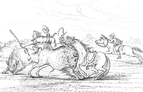 Buffalo attacking a cowboy on a horse, 1841. Artist: Myers and Co