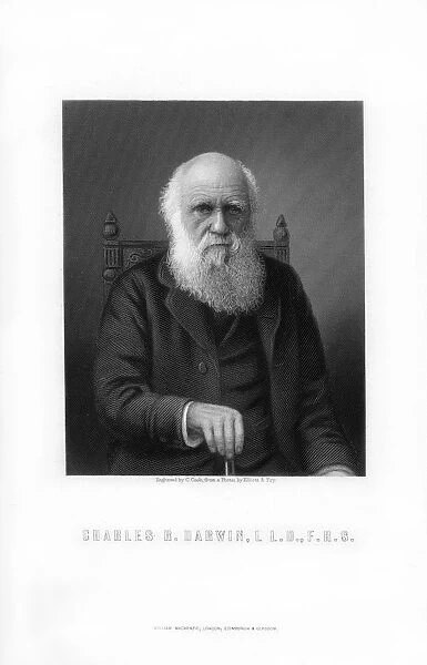 Charles Darwin, British naturalist, (1899). Artist: C Cook