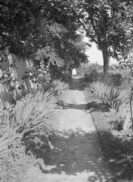 Cosgrave grounds, not before 1917. Creator: Arnold Genthe