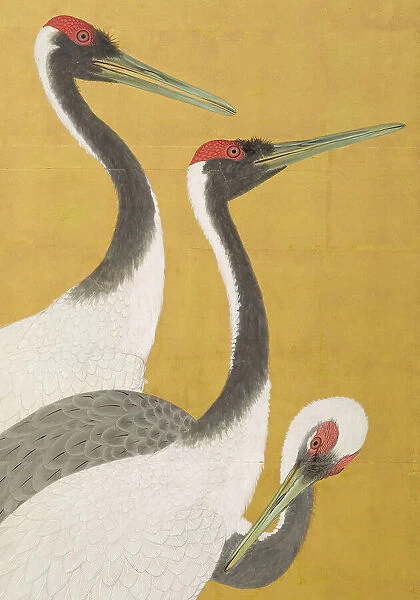 Cranes (image 7 of 20), An'ei period (1772-1780). Creator: Maruyama Okyo