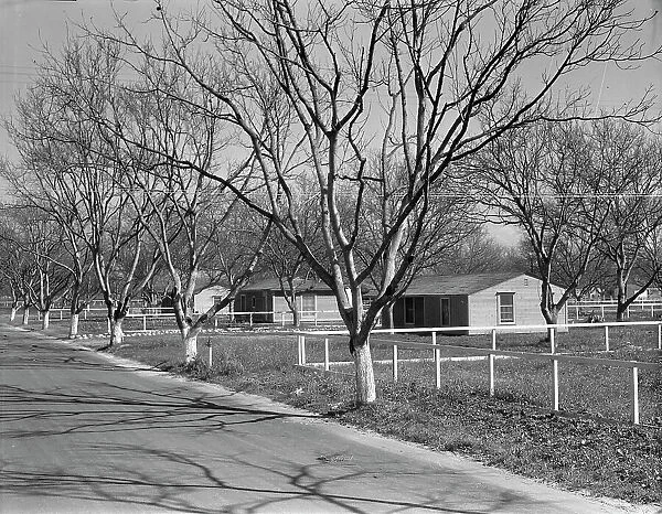El Monte federal subsistence housing - 100 homes all occupied, California, 1936. Creator: Dorothea Lange