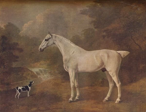 A Flea-Bitten Grey and a Spotted Terrier, 1803