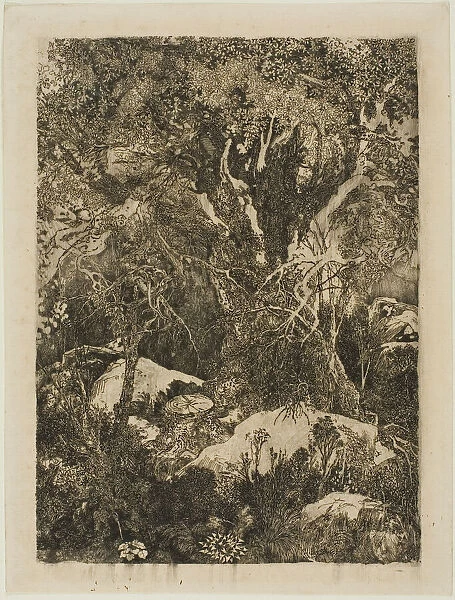 The Forest of Fontainebleau, 1880. Creator: Rodolphe Bresdin