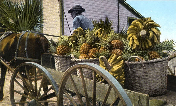 A fruit trader, Taboga Island, Panama, early 20th century