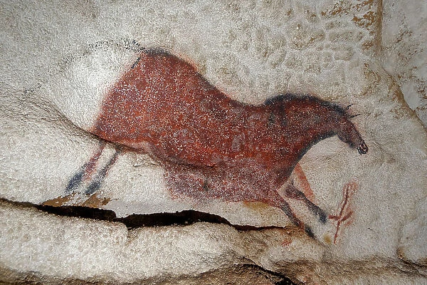 Galloping horse. Caves painting of Lascaux, ca 16.000-15.000 BC. Creator: Art of the Upper Paleolithic