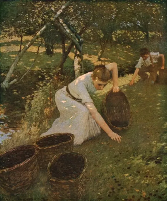 Framed Print : Gathering Plums Print, 1901