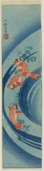 Goldfish and Water Plants, 1850. Creator: Ichimei