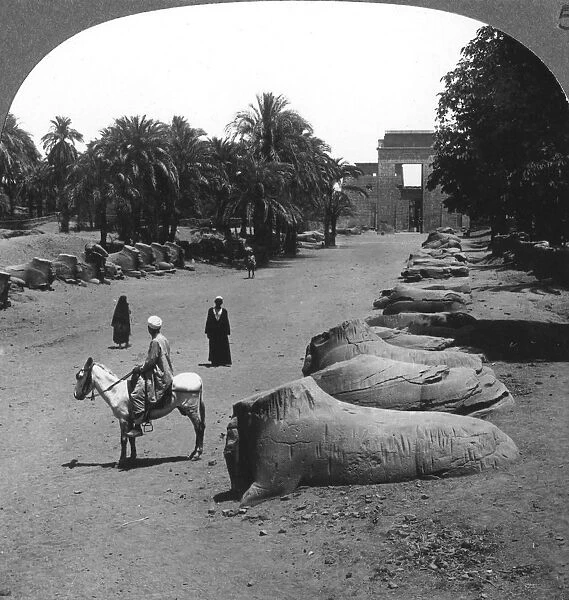 Grand avenue approaching the Temple of Karnak, Thebes, Egypt, 1905. Artist: Underwood & Underwood