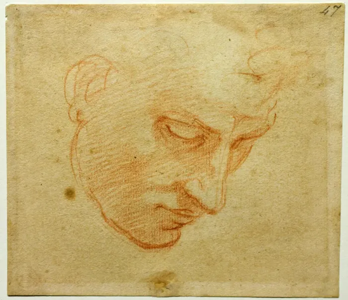 Framed Print : Print of a Head Study from the Sistine Chapel ceiling, circa 1509-1510 Framed Print : Print of a Head Study from the Sistine Chapel ceiling, circa 1509-1510