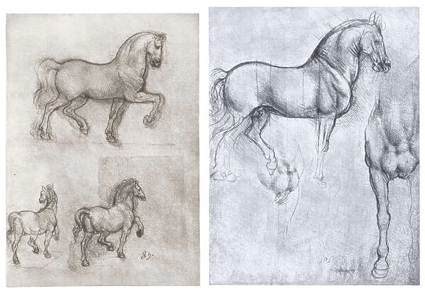 Horses, c1490-1510. Artist: Leonardo da Vinci