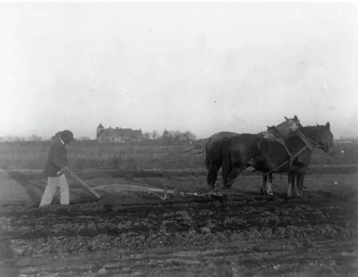 Framed Print : Improved Method of Plowing Print (1899?) Framed Print : Improved Method of Plowing Print (1899?)