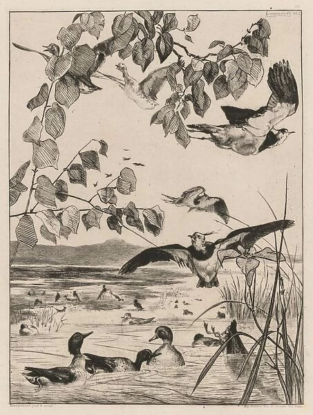 Lapwings and Teals, 1862. Creator: Felix Bracquemond (French, 1833-1914)