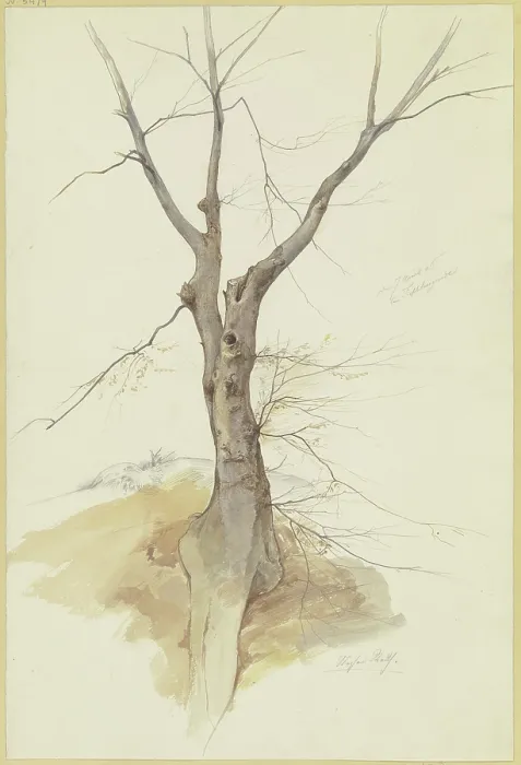 Framed Print : Leafless Tree Print, 1846 Framed Print : Leafless Tree Print, 1846