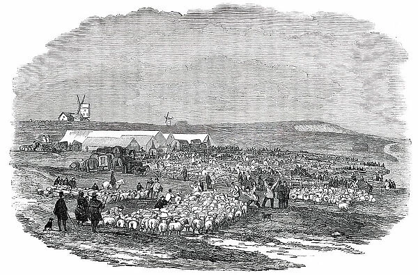 Lewes Great Sheep Fair, 1850. Creator: Unknown