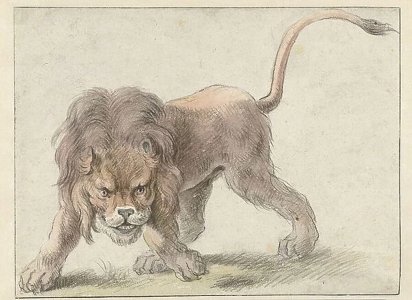 Lion, c.1626. Creator: Cornelis Saftleven