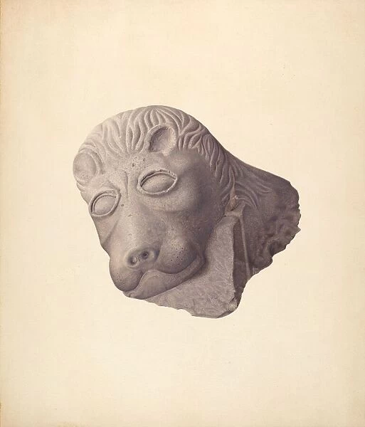 Lions Head (one of pair), c. 1940. Creator: Edward DiGennero