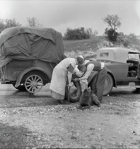 Migrant pea pickers on the road, California, 1936. Creator: Dorothea Lange