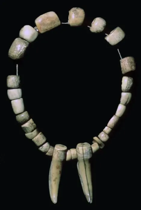 Framed Print : Neolithic Bone and Tooth Necklace Print Framed Print : Neolithic Bone and Tooth Necklace Print