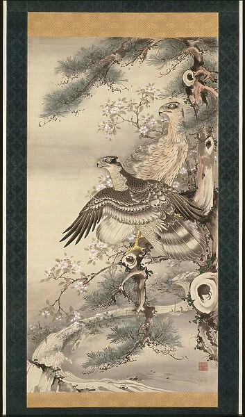 Pair of Hawks with Branch and Blossoms. Artist: Shohaku, Soga (1730-1781)