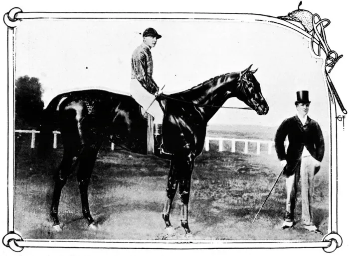 Framed Print : Persimmon Print, a photograph of a horse Framed Print : Persimmon Print, a photograph of a horse