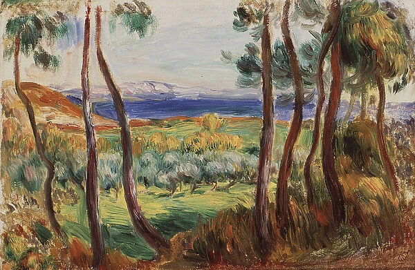 Pins aux environs de Cagnes, c. 1910. Creator: Renoir, Pierre Auguste (1841-1919)