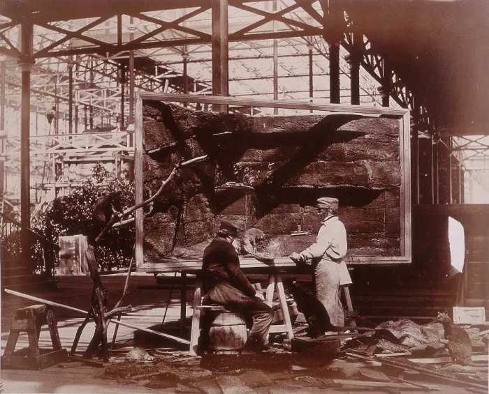 Framed Print : Print of Preparing Case for Marine Objects, a photograph from 1852-1854 Framed Print : Print of Preparing Case for Marine Objects, a photograph from 1852-1854