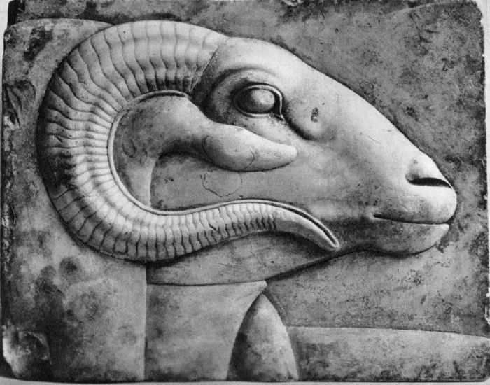 Framed Print : A Rams Head Print, Egypt 1936 Limestone Model Framed Print : A Rams Head Print, Egypt 1936 Limestone Model