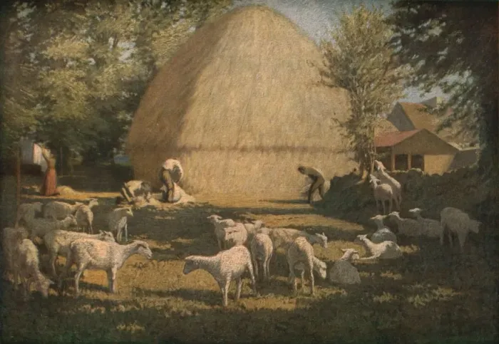 Framed Print : Print of Sheep Shearing, 1901