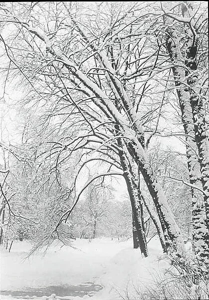 Snowscape, Berlin, 1888  /  92. Creator: Alfred Stieglitz